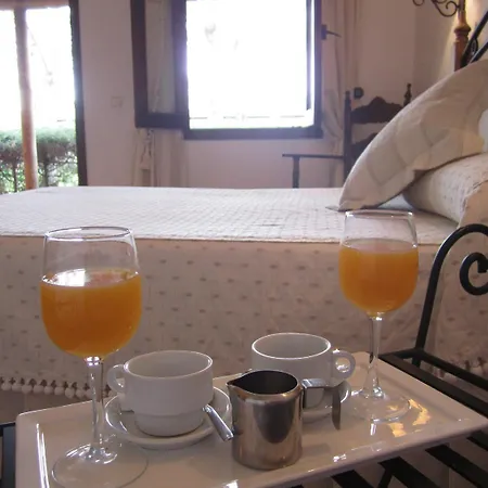 El Camino Almonaster *